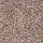 Horizon Carpet: Earthly Details I Beige Twill